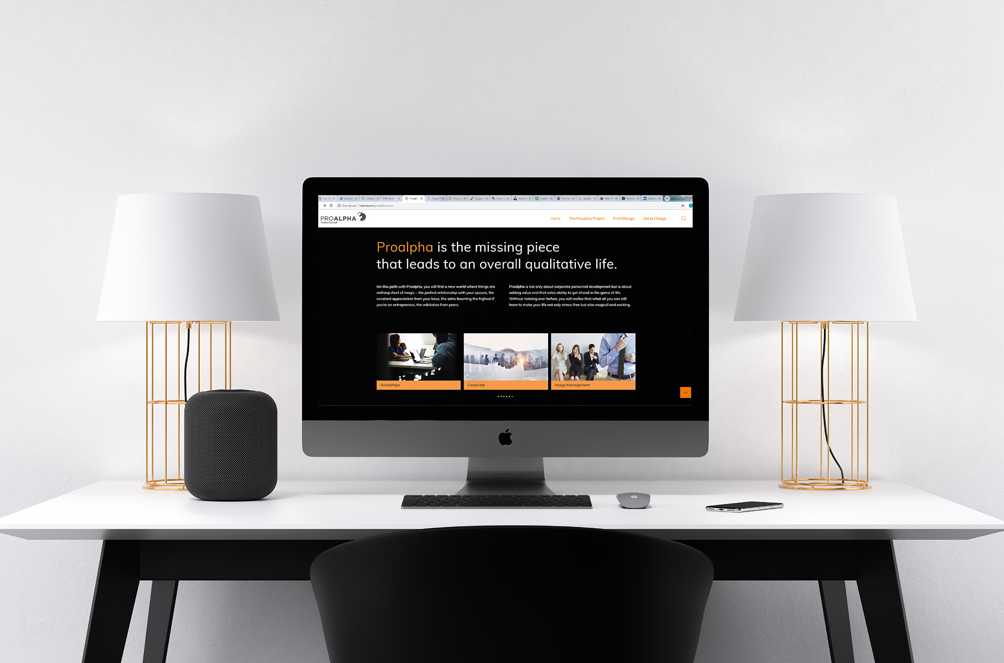 Proalpha Website Designing
