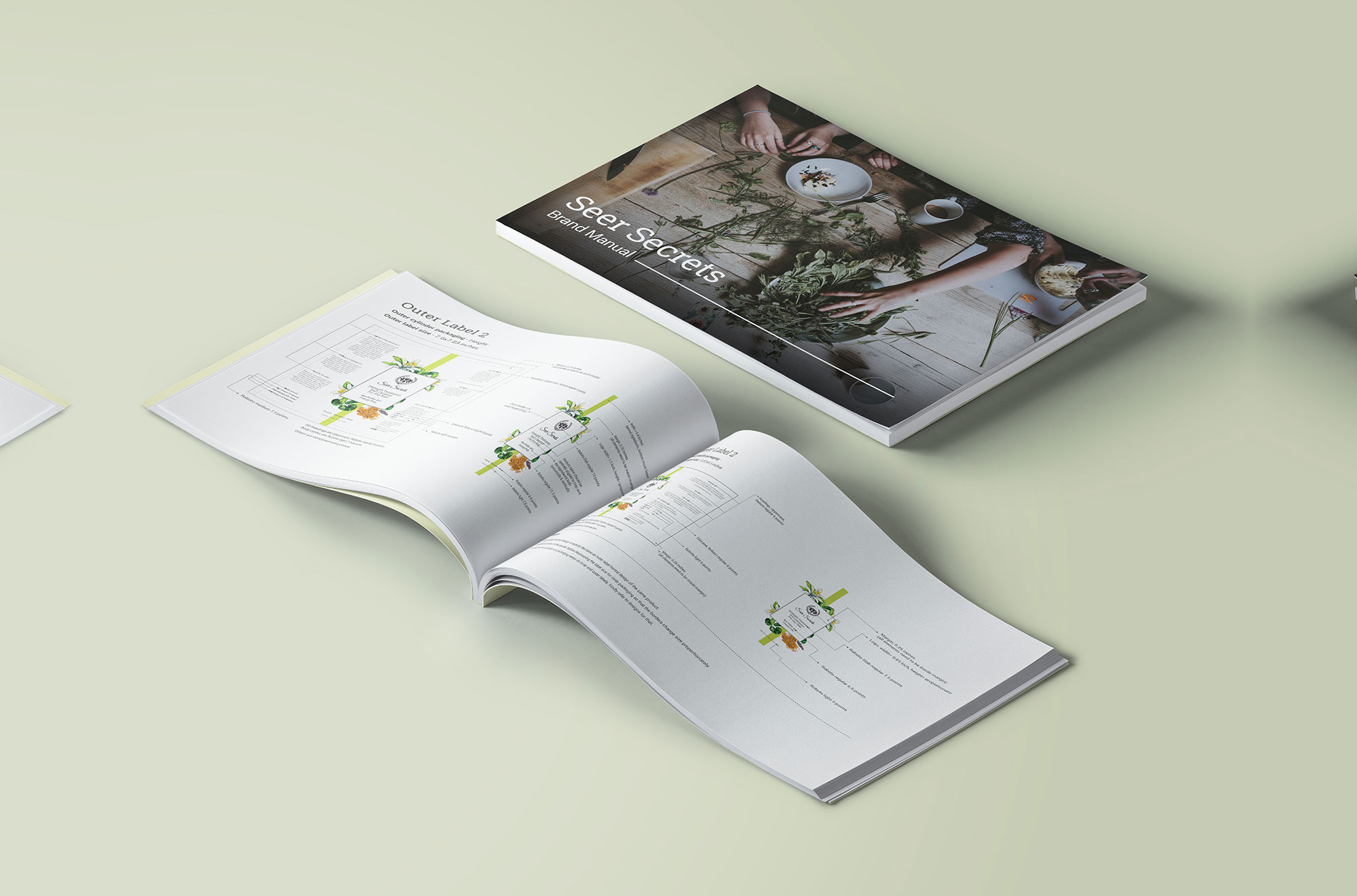 Seer Secrets Brochure Design